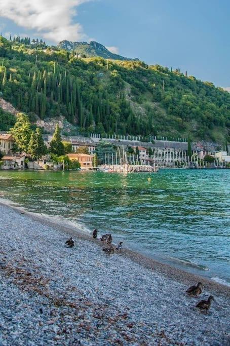 Alloggio Con Idromassaggio E Super Vista Nave San Felice Dış mekan fotoğraf